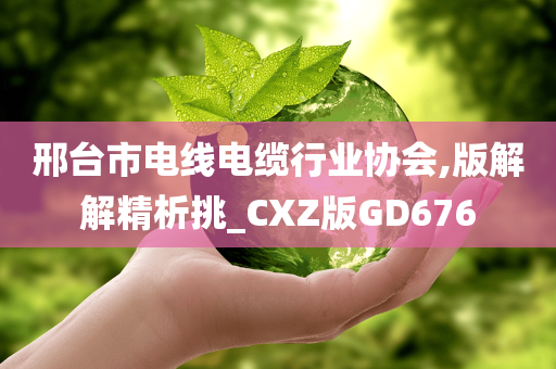 邢台市电线电缆行业协会,版解解精析挑_CXZ版GD676