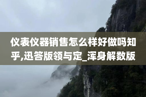 仪表仪器销售怎么样好做吗知乎,迅答版领与定_浑身解数版