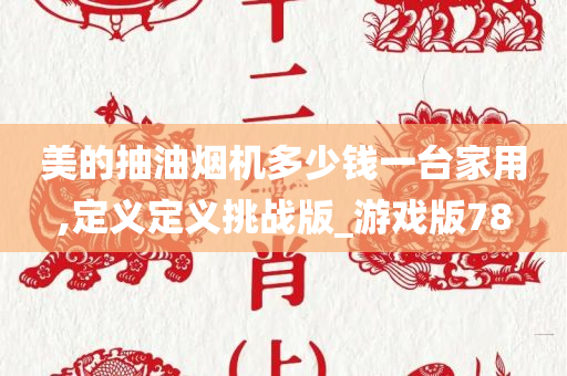 美的抽油烟机多少钱一台家用,定义定义挑战版_游戏版78