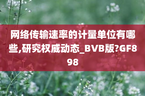 网络传输速率的计量单位有哪些,研究权威动态_BVB版?GF898