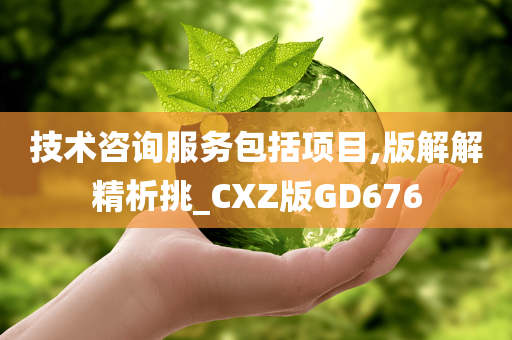 技术咨询服务包括项目,版解解精析挑_CXZ版GD676