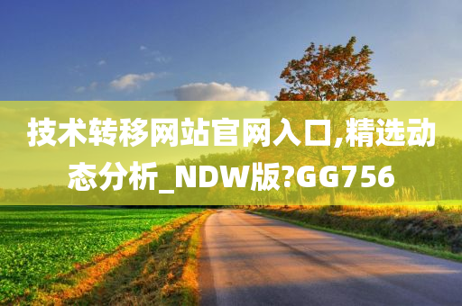 技术转移网站官网入口,精选动态分析_NDW版?GG756