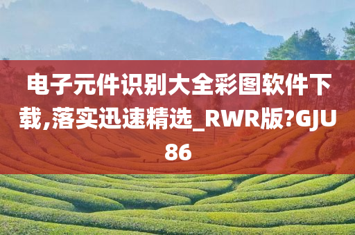 电子元件识别大全彩图软件下载,落实迅速精选_RWR版?GJU86