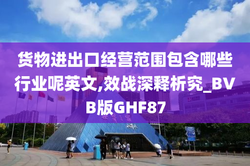 货物进出口经营范围包含哪些行业呢英文,效战深释析究_BVB版GHF87