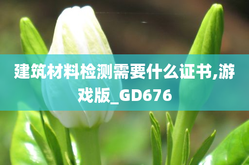 建筑材料检测需要什么证书,游戏版_GD676