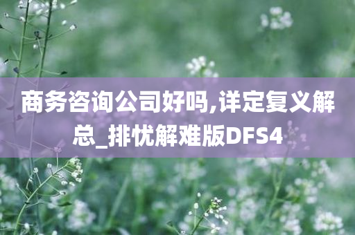 商务咨询公司好吗,详定复义解总_排忧解难版DFS4