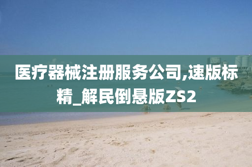 医疗器械注册服务公司,速版标精_解民倒悬版ZS2