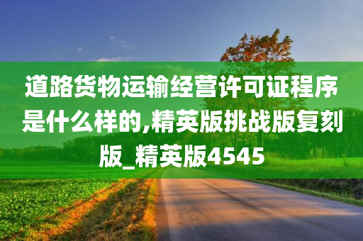 道路货物运输经营许可证程序是什么样的,精英版挑战版复刻版_精英版4545