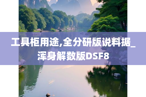 工具柜用途,全分研版说料据_浑身解数版DSF8