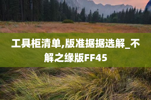 工具柜清单,版准据据选解_不解之缘版FF45