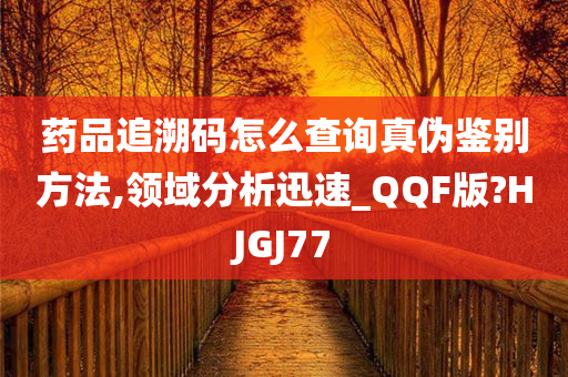 药品追溯码怎么查询真伪鉴别方法,领域分析迅速_QQF版?HJGJ77