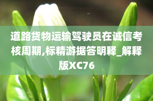 道路货物运输驾驶员在诚信考核周期,标精游据答明释_解释版XC76