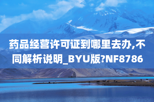 药品经营许可证到哪里去办,不同解析说明_BYU版?NF8786