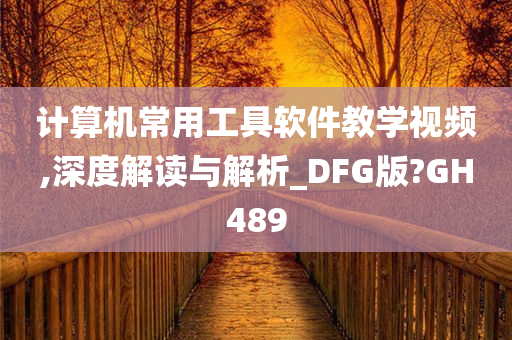 计算机常用工具软件教学视频,深度解读与解析_DFG版?GH489