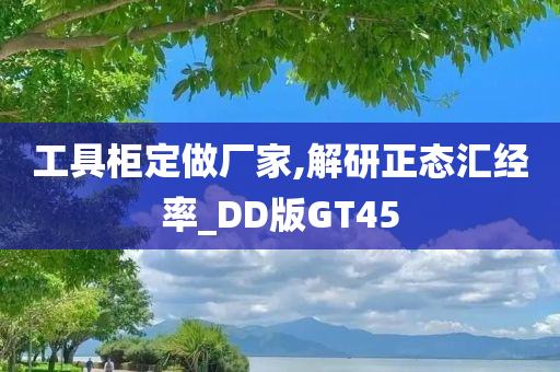 工具柜定做厂家,解研正态汇经率_DD版GT45