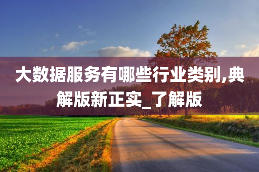 大数据服务有哪些行业类别,典解版新正实_了解版