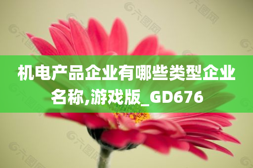 机电产品企业有哪些类型企业名称,游戏版_GD676