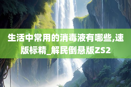 生活中常用的消毒液有哪些,速版标精_解民倒悬版ZS2