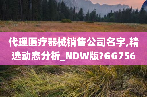 代理医疗器械销售公司名字,精选动态分析_NDW版?GG756