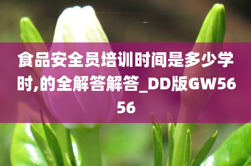 食品安全员培训时间是多少学时,的全解答解答_DD版GW5656