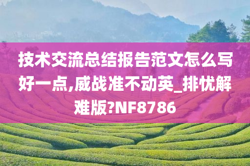 技术交流总结报告范文怎么写好一点,威战准不动英_排忧解难版?NF8786