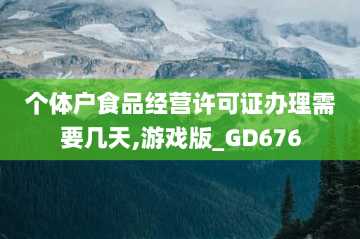 个体户食品经营许可证办理需要几天,游戏版_GD676