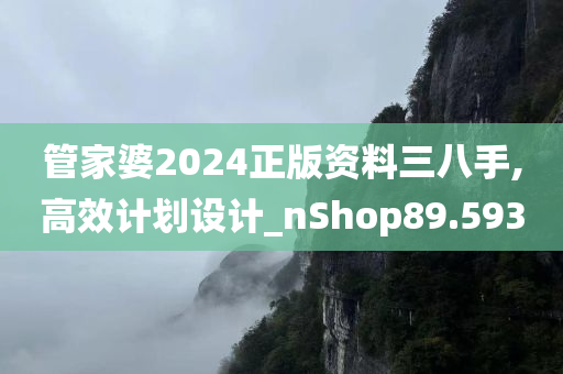 管家婆2024正版资料三八手,高效计划设计_nShop89.593