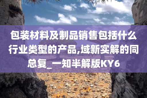 包装材料及制品销售包括什么行业类型的产品,域新实解的同总复_一知半解版KY6