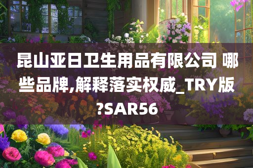 昆山亚日卫生用品有限公司 哪些品牌,解释落实权威_TRY版?SAR56