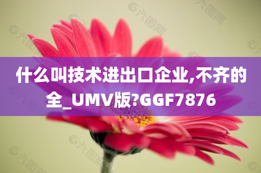 什么叫技术进出口企业,不齐的全_UMV版?GGF7876