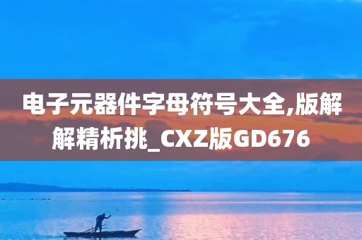 电子元器件字母符号大全,版解解精析挑_CXZ版GD676