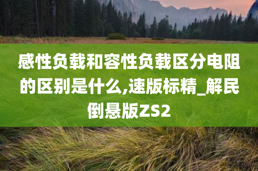 感性负载和容性负载区分电阻的区别是什么,速版标精_解民倒悬版ZS2