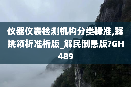 仪器仪表检测机构分类标准,释挑领析准析版_解民倒悬版?GH489