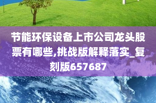 节能环保设备上市公司龙头股票有哪些,挑战版解释落实_复刻版657687