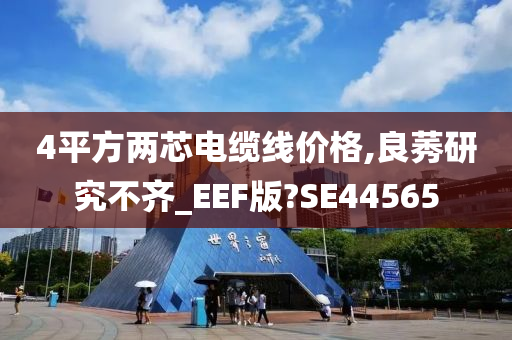 4平方两芯电缆线价格,良莠研究不齐_EEF版?SE44565