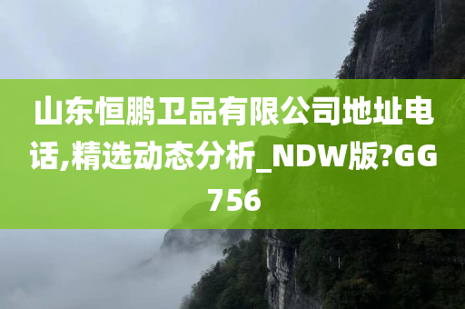 山东恒鹏卫品有限公司地址电话,精选动态分析_NDW版?GG756