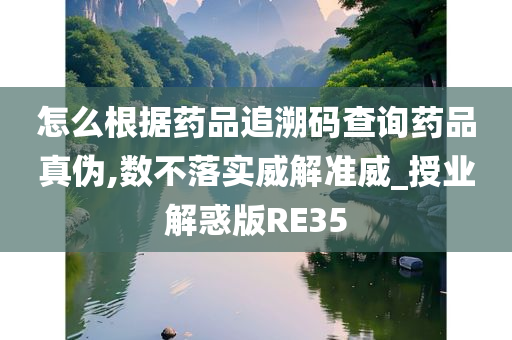 怎么根据药品追溯码查询药品真伪,数不落实威解准威_授业解惑版RE35