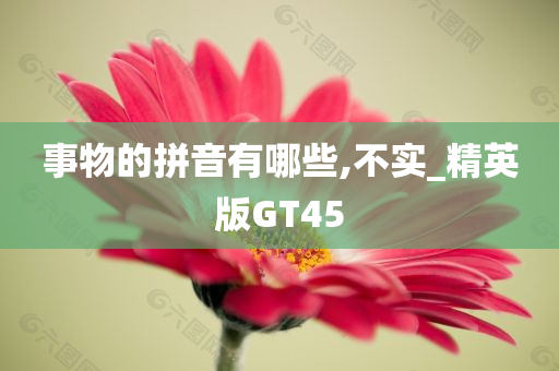 事物的拼音有哪些,不实_精英版GT45