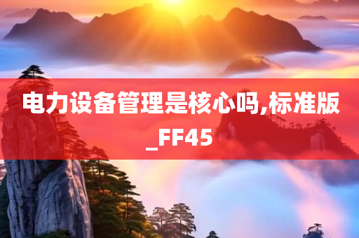 电力设备管理是核心吗,标准版_FF45