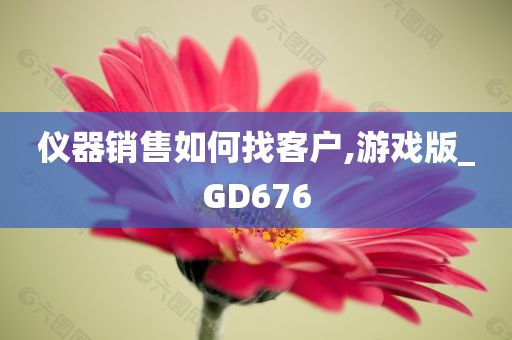 仪器销售如何找客户,游戏版_GD676