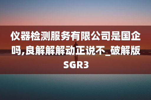 仪器检测服务有限公司是国企吗,良解解解动正说不_破解版SGR3