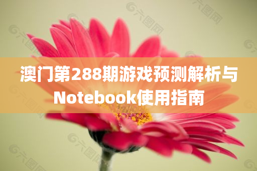 澳门第288期游戏预测解析与Notebook使用指南