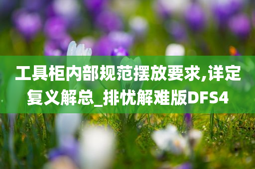 工具柜内部规范摆放要求,详定复义解总_排忧解难版DFS4