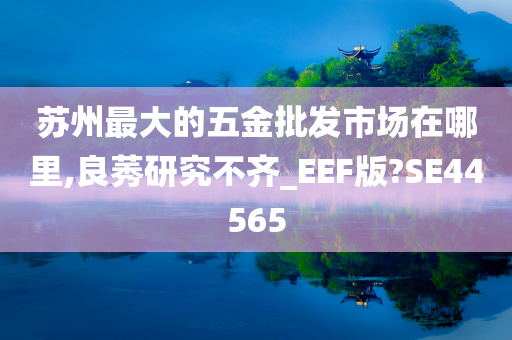 苏州最大的五金批发市场在哪里,良莠研究不齐_EEF版?SE44565