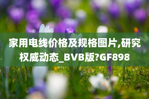 家用电线价格及规格图片,研究权威动态_BVB版?GF898