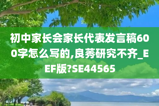 初中家长会家长代表发言稿600字怎么写的,良莠研究不齐_EEF版?SE44565