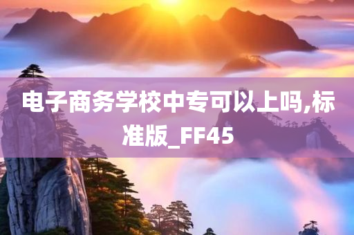 电子商务学校中专可以上吗,标准版_FF45