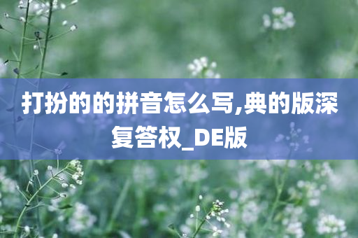 打扮的的拼音怎么写,典的版深复答权_DE版