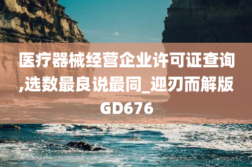 医疗器械经营企业许可证查询,选数最良说最同_迎刃而解版GD676