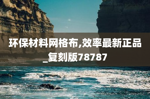 环保材料网格布,效率最新正品_复刻版78787